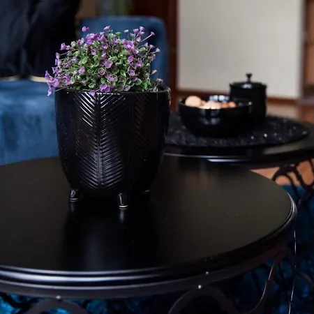 Z Widokiem אולז'טין