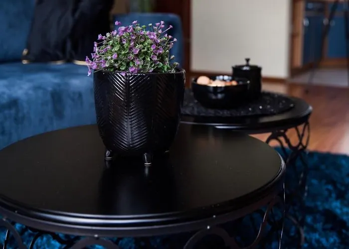 Z Widokiem 올슈틴